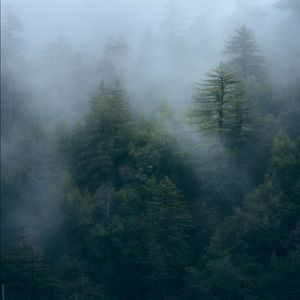 Meet your Posher, Sean